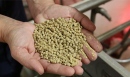 Types of Animal Feed-Making Machines for Different Animals